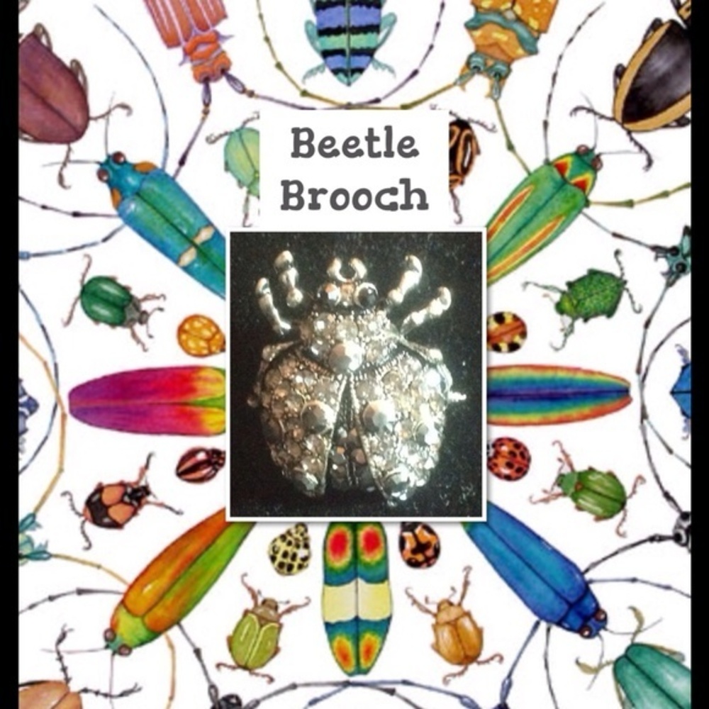 NWT On-trend Pave Gunmetal Beetle Brooch in Box